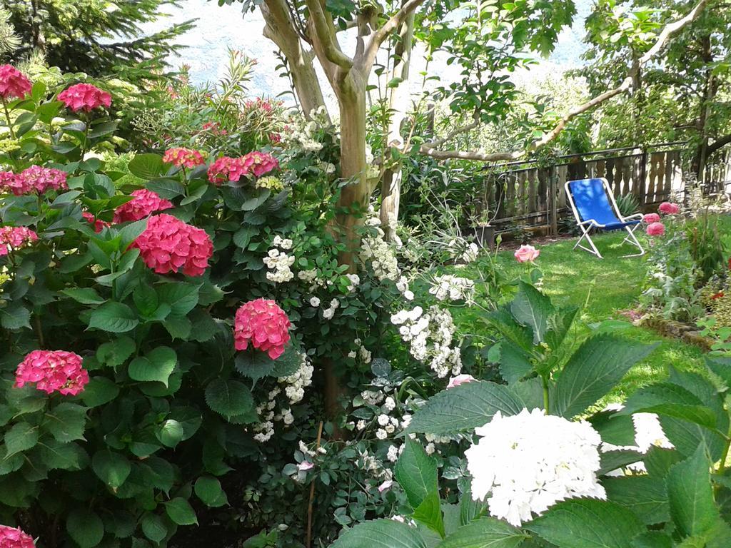 Guest house Stamserhof